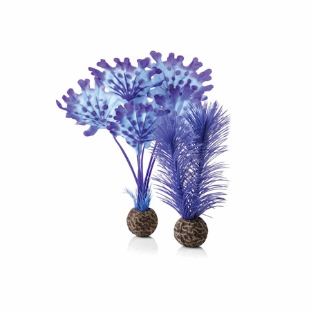 biOrb Kelp set S purple