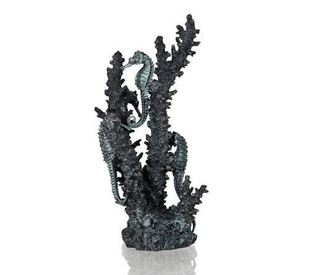 biOrb seahorses on coral black M