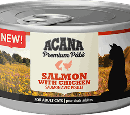 Acana Cat Wet Salmon 85g