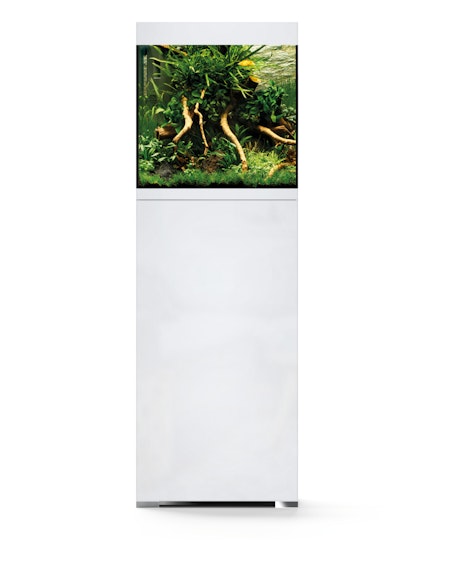 Oase StyleLine 85 hvit akvarie sett