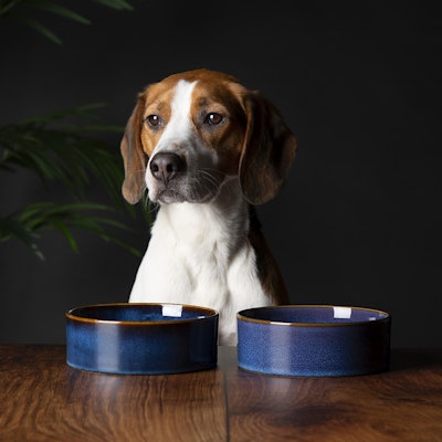 Scruffs Reactive Glaze Food Bowl - 15cm. Midnight blue