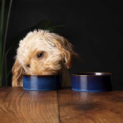 Scruffs Reactive Glaze Food Bowl - 13cm. Midnight blue