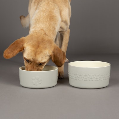 Scruffs Icon Pet Food Bowl - 19 x 8,5 cm Lys grå