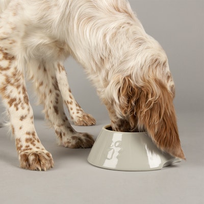 Scruffs Icon Long Eared Dog Bowl - 21 x 8,5 cm Lys grå