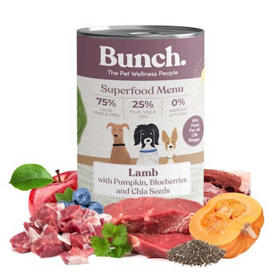 Bunch Lam med gresskar og blåbær 400gr