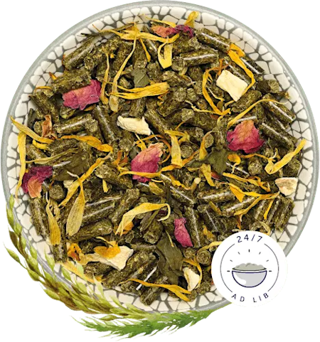 BunnyNature ChinchillaDream BASIC 1,2kg