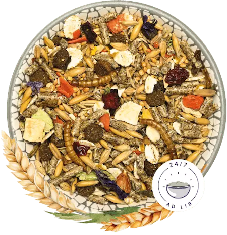 BunnyNature, DvergHamsterDream Basic dverghamstermat 600 g