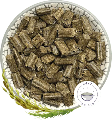 BunnyNature RabbitDream YOUNG kaninmat 600gr