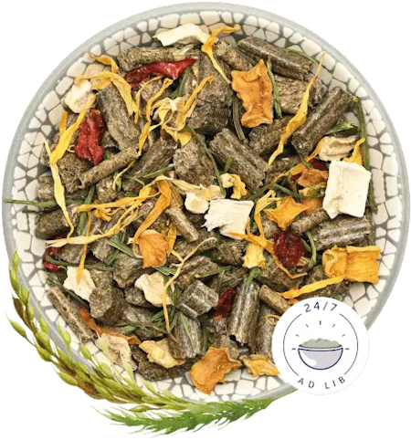 BunnyNature RabbitDream Special edition vegetables kaninmat 1,5kg