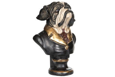 Byst Bulldog Mr Big
