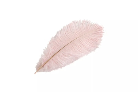 Strutsfjäder Ljusrosa