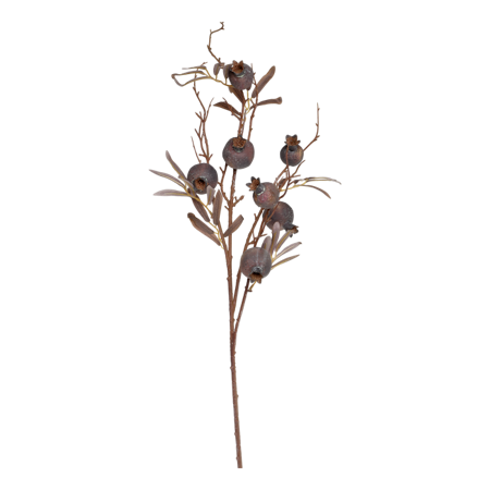 Fleur Gren m, Frökapsel