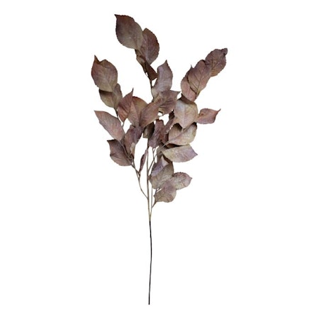 Fleur Gren m, Blad