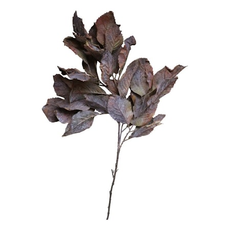 Fleur Gren m, Blad