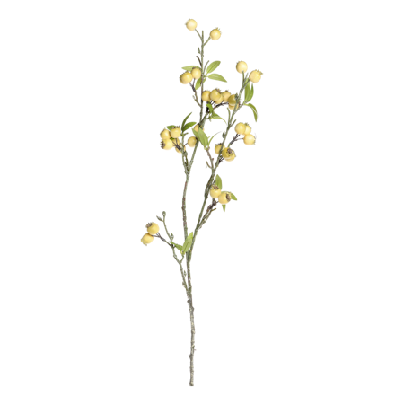 Fleur Gren m, havtorn