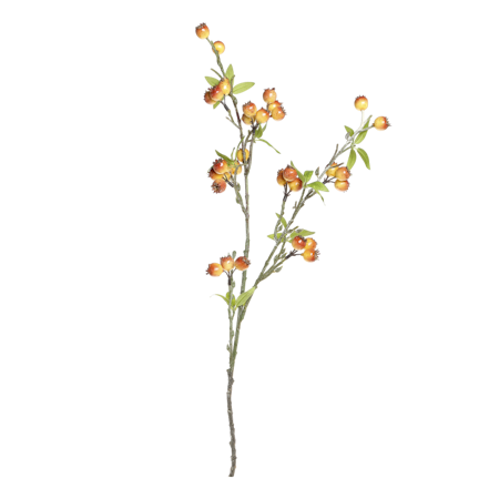 Fleur Gren m, havtorn