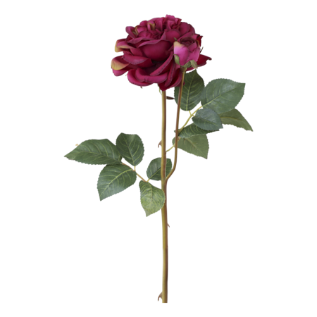 Fleur Ros