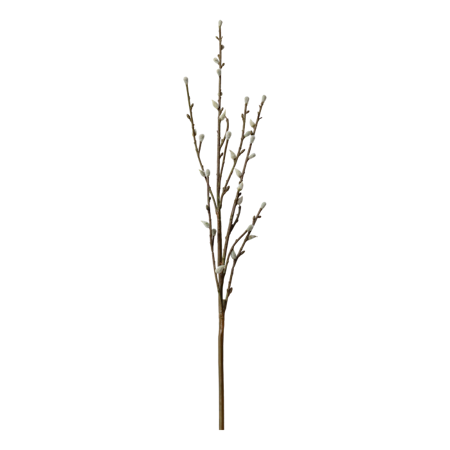 Fleur Gren