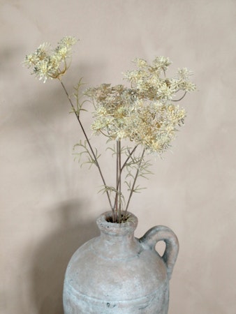 Fleur Skærmblomst