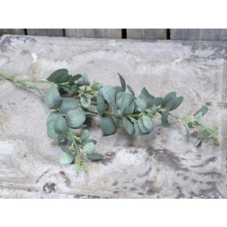 Fleur Gren Blad