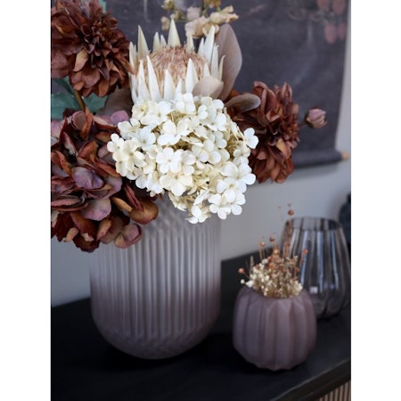 Fleur Dahlia