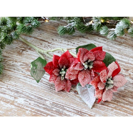 Fleur Julstjärna med snö & glitter