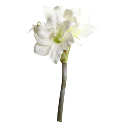 Fleur Amaryllis med snö & glitter