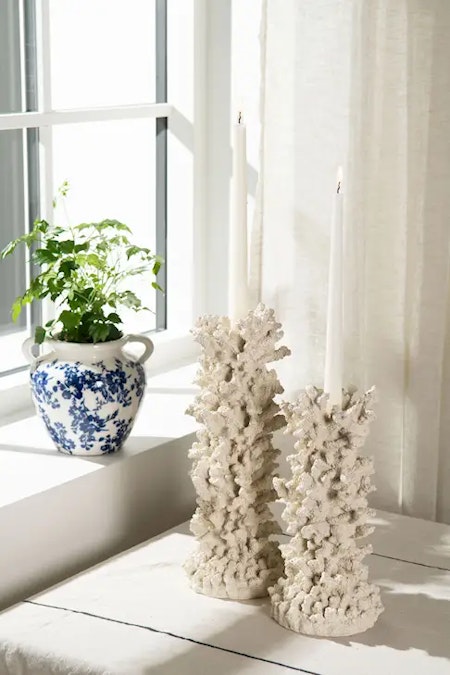 Ljusstake Korall Poly