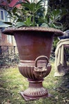 Buxus cast iron pot / Rustic