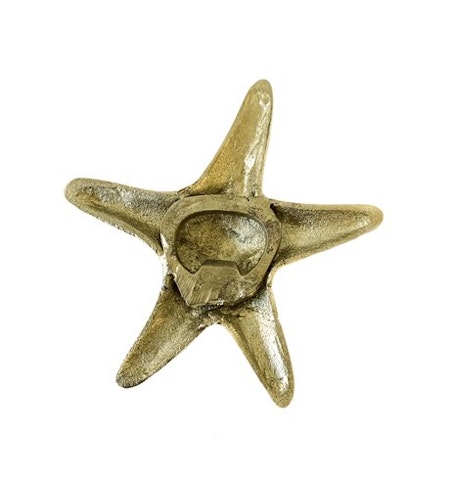 Kapsylöppnare sjöstjärna