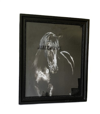 Black Horse Photo Framed