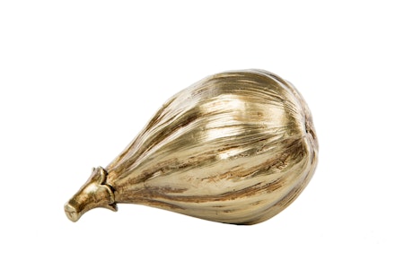 Fikon Guld Mix Poly