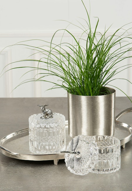 Glasburk Kanin