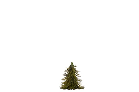 Gran Fjäder Grön