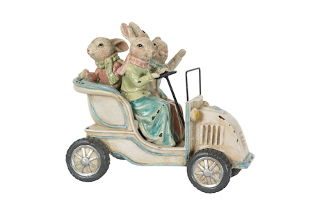 Hare Familj Åker Bil Poly