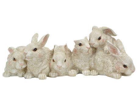 Kaniner på Rad Vit Poly