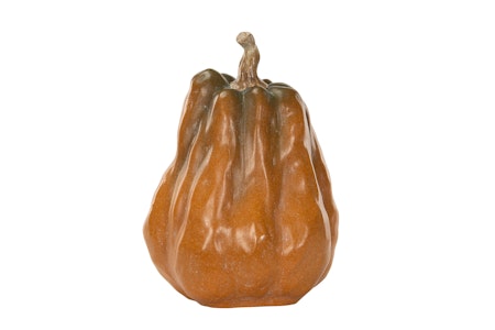 Pumpa Orange.Nat Avlång Poly