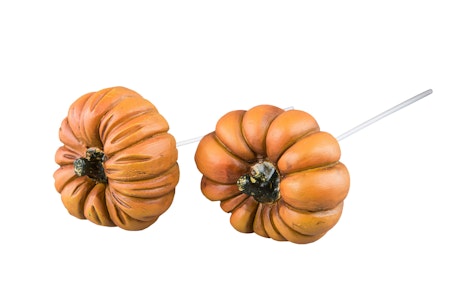 Pumpa Stick Orange Mix Poly