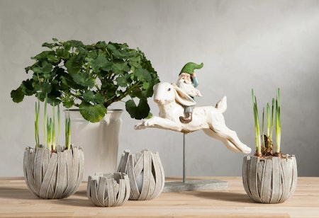 Tomte Harskutt Poly