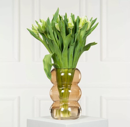 Vas Tulip