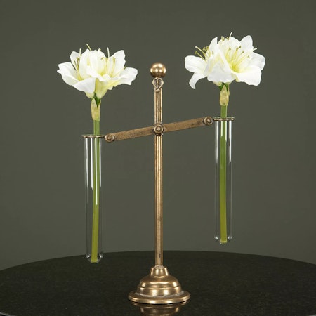 Vågskål Amaryllis Provrör G.Brun
