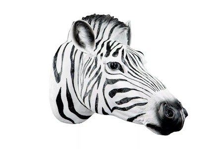 Zebra Huvud Vägg Poly