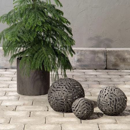 Boll Ormbunke