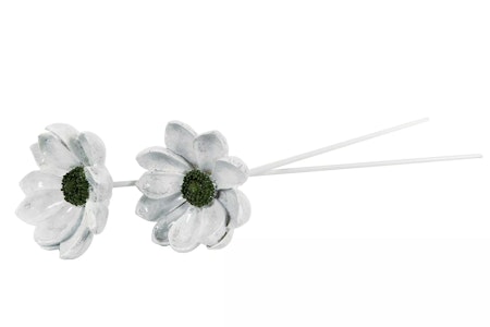 Blomma Fleur Pinne Grön Poly