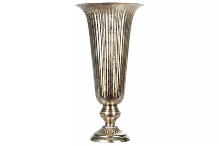 Pokal Rex Champagne