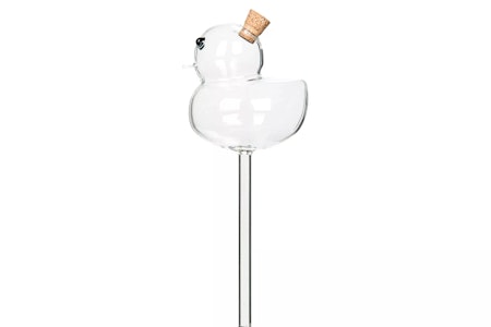 Bevattningsglas Anka