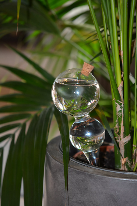 Bevattningsglas Bubbla