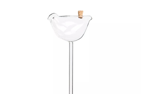 Bevattningsglas Fågel