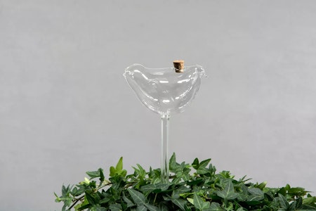 Bevattningsglas Fågel