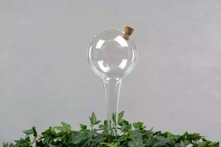 Bevattningsglas Klot